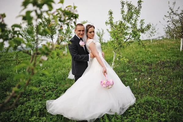 Stylish young wedding couple at the garden near young trees