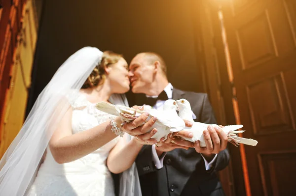 Целовать свадебную пару с голубями в руках на солнечном луче — стоковое фото