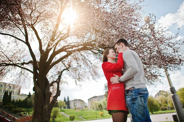 Objímat pár v lásce pozadí třešeň květ s sunbe — Stock fotografie