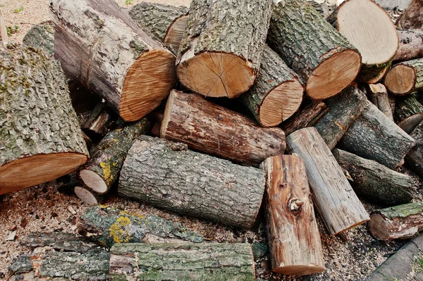 En hög med hackad trä, sågade trävaror — Stockfoto