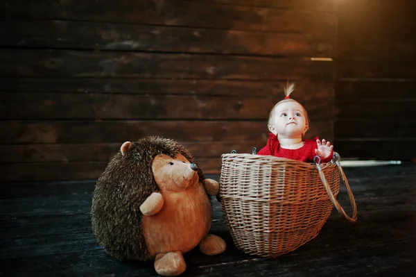 빨간 드레스에 재미 있은 여자 아기 고슴도치 장난감 바구니에 앉아 — 스톡 사진