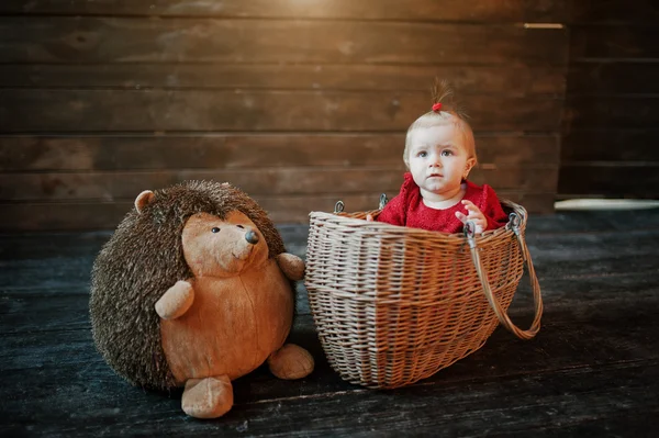 빨간 드레스에 재미 있은 여자 아기 고슴도치 장난감 바구니에 앉아 — 스톡 사진