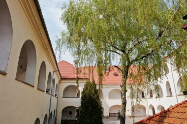 Bölge kale Palanok Mukachevo, Transca, huş ağacı