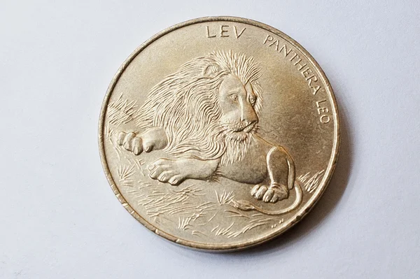 Corona de moneda (coronas CZK) República Checa muestra león de Olomouc —  Fotos de Stock