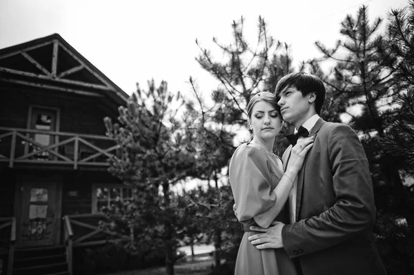 Couple in embrace background conifer trees. Stylish man at velve — Stock Photo, Image