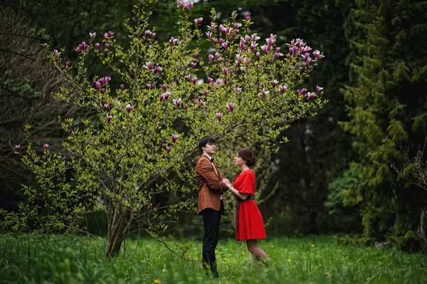 Пара влюблённых рядом с деревом Магнолия. Стильный человек в бархате — стоковое фото