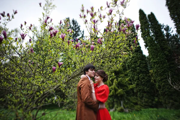 Пара влюблённых рядом с деревом Магнолия. Стильный человек в бархате — стоковое фото
