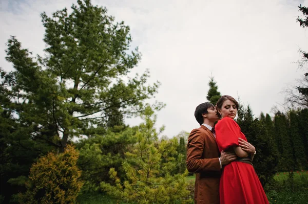 Casal abraçando no amor na bela paisagem de árvores e meado — Fotografia de Stock