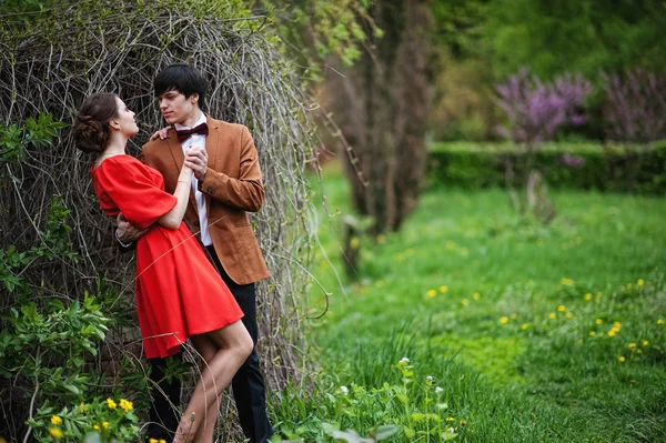 Pareja abrazándose en el amor fondo ramas secas en el campo. Elegante —  Fotos de Stock