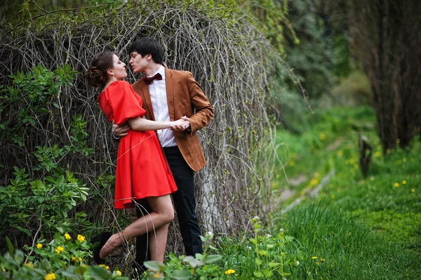 Pareja abrazándose en el amor fondo ramas secas en el campo. Elegante — Foto de Stock