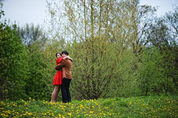 Coppia abbracci in amore sfondo giallo campo fiori. Elegante — Foto Stock