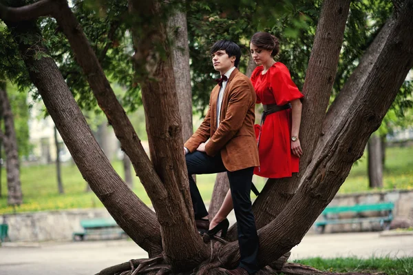 Ευτυχισμένο ζευγάρι που στέκεται στις ρίζες των δέντρων. Κομψός άνθρωπος στο βελούδο κοριτσάκιαπουλόβερ — Φωτογραφία Αρχείου