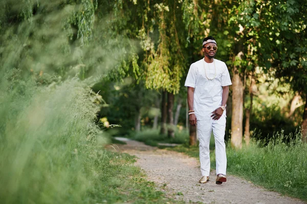 Retrato de homem americano africano preto elegante e rico em branco — Fotografia de Stock