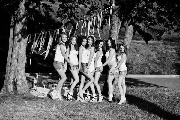Sete meninas felizes e sexy em shorts curtos e camisas brancas pose — Fotografia de Stock