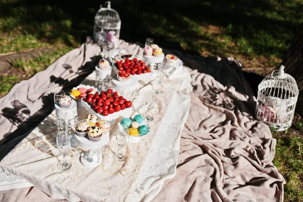 Mesa de picnic con decoración sobre hierba con macarrón, fresa y c — Foto de Stock