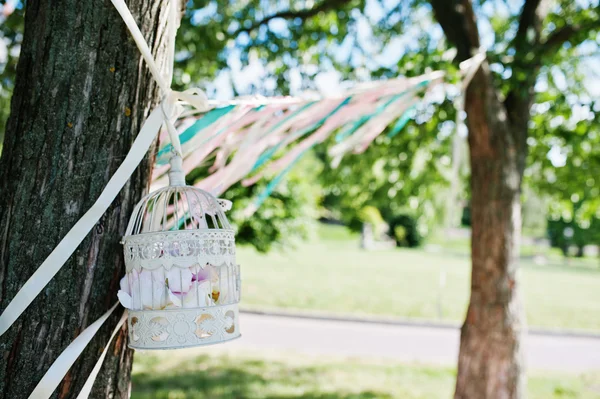 Picknick dekorerad fågelbur och färgade band på träd — Stockfoto