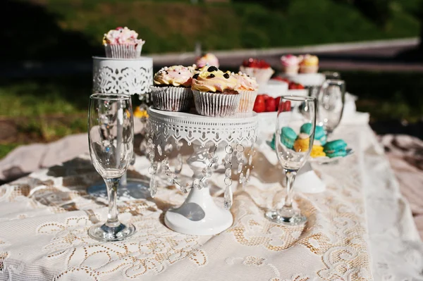 마 카 롱, 딸기와 c 잔디에 장식으로 피크닉 테이블 — 스톡 사진