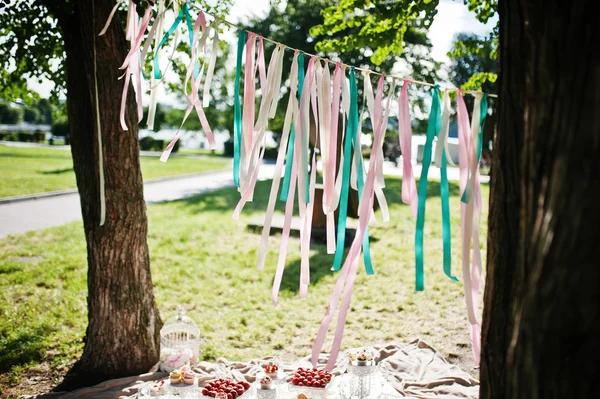 Mesa de picnic con decoración sobre hierba cerca de los árbolesMesa de picnic con dec — Foto de Stock