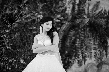 Günaha modeli esmer geline heyecan verici düğün elbise backgr