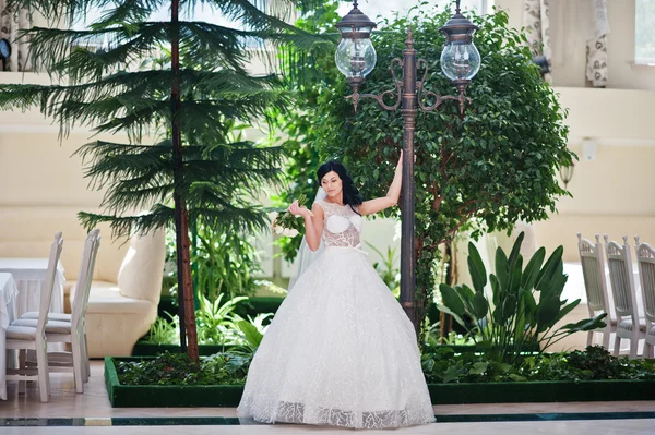 Modèle de tentation mariée brune à robe de mariée passionnante posée Images De Stock Libres De Droits