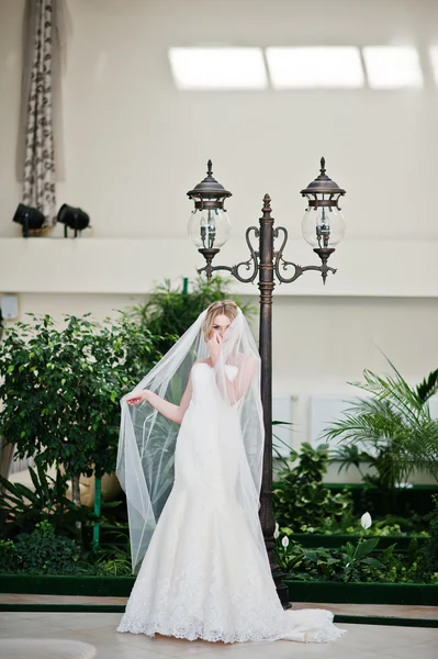 Magnifique blonde mariée avec long voile posé à grand génial wedd — Photo