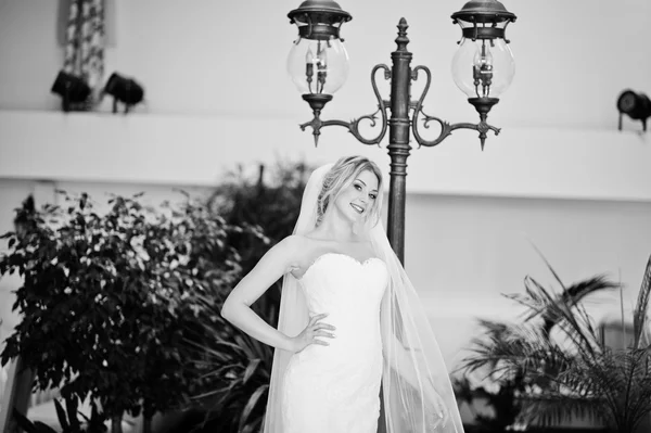 Hermosa novia rubia con velo largo posado en gran boda impresionante — Foto de Stock