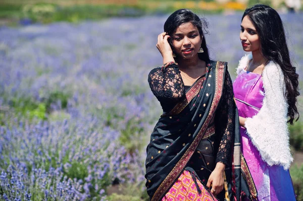 Dois Lindos Índios Girsl Desgaste Saree Índia Vestido Tradicional Campo — Fotografia de Stock