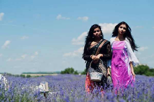 Two Beautiful Indian Girsl Wear Saree India Traditional Dress Purple — Stock Photo, Image