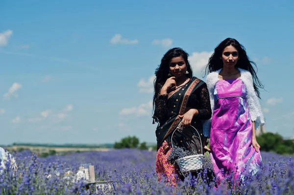 Дві Красиві Індійські Джемс Носять Сарі Індія Традиційна Сукня Фіолетовому — стокове фото