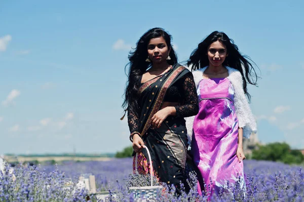 Dwie Piękne Indyjskie Dziewczęta Noszą Sari Indyjskie Tradycyjne Sukienki Fioletowym — Zdjęcie stockowe