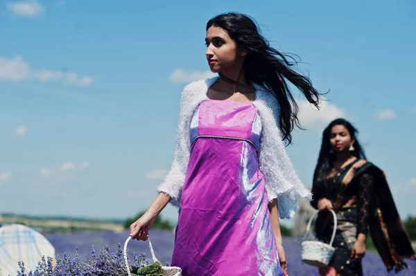 Дві Красиві Індійські Джемс Носять Сарі Індія Традиційна Сукня Фіолетовому — стокове фото