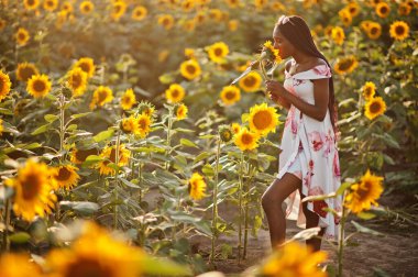 Güzel siyah kadın ayçiçeği tarlasında yaz elbisesi giymiş..