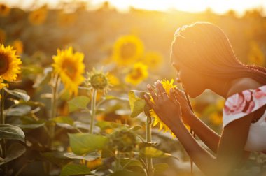 Güzel siyah kadın ayçiçeği tarlasında yaz elbisesi giymiş..