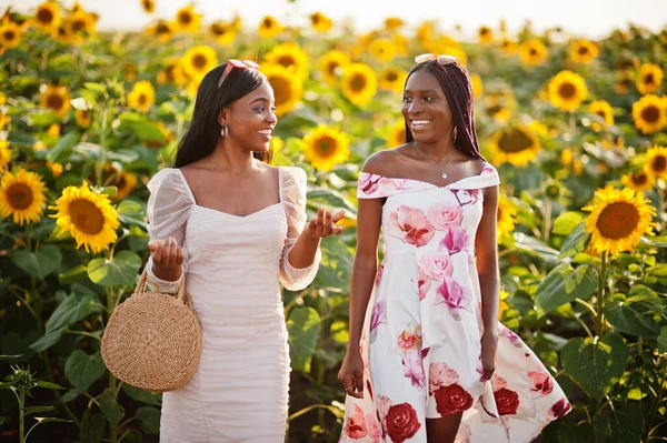 Twee Mooie Jonge Zwarte Vrienden Vrouw Dragen Zomer Jurk Poseren — Stockfoto