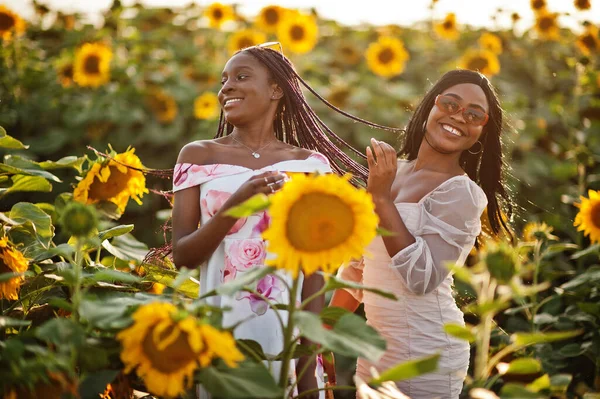 Twee Mooie Jonge Zwarte Vrienden Vrouw Dragen Zomer Jurk Poseren — Stockfoto