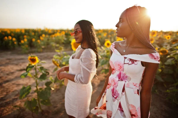 Twee Mooie Jonge Zwarte Vrienden Vrouw Dragen Zomer Jurk Poseren — Stockfoto