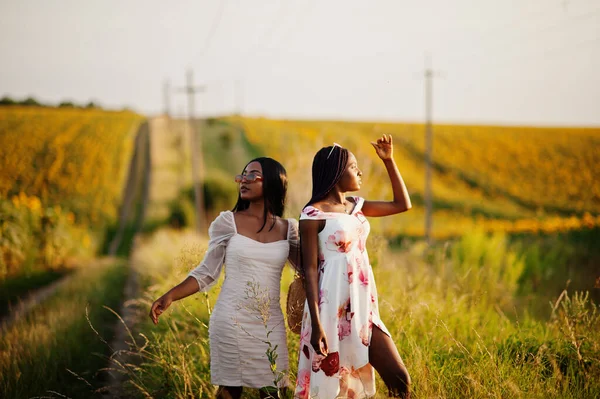 Deux Jolies Jeunes Amies Noires Portent Une Pose Robe Été — Photo