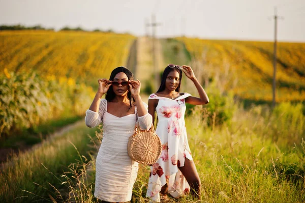 Dois Jovens Amigos Negros Bonita Mulher Usar Vestido Verão Pose — Fotografia de Stock