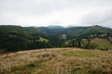 Meşhur Karpat zirvesinde güzel bir yaz manzarası, Ukrayna, Bukovel.