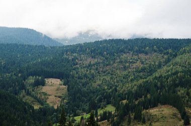 Meşhur Karpat zirvesinde güzel bir yaz manzarası, Ukrayna, Bukovel.