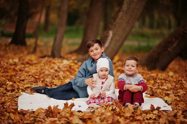 Família Feliz Três Crianças Outono Deixa Parque — Fotografia de Stock