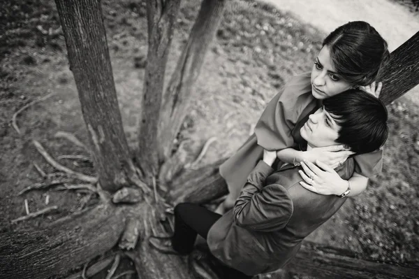 Giovane bella coppia all'albero — Foto Stock