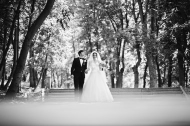 Parkta genç güzel düğün çifti