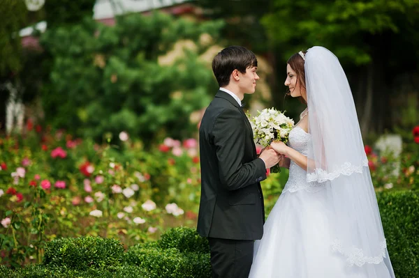 若い美しい結婚式のカップル — ストック写真