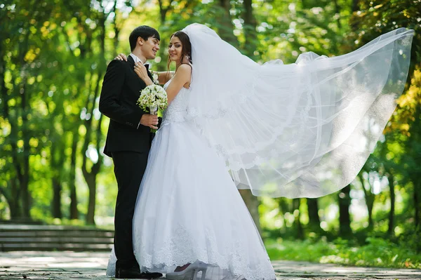 Joven hermosa pareja de boda con gran velo nupcial — Foto de Stock