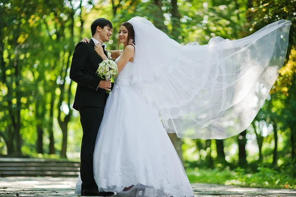 Young beautiful wedding couple with big bridal veil — Stock Photo, Image