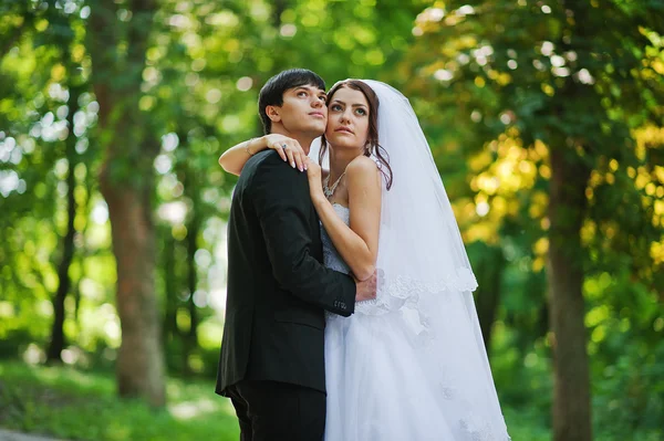 Young beautiful wedding couple at the park — Stock Photo, Image