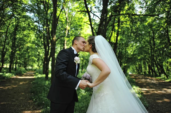 Casamento casal beijando no parque verde — Fotografia de Stock