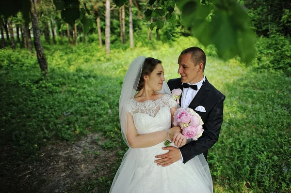 Svatební pár pod stromeček — Stock fotografie