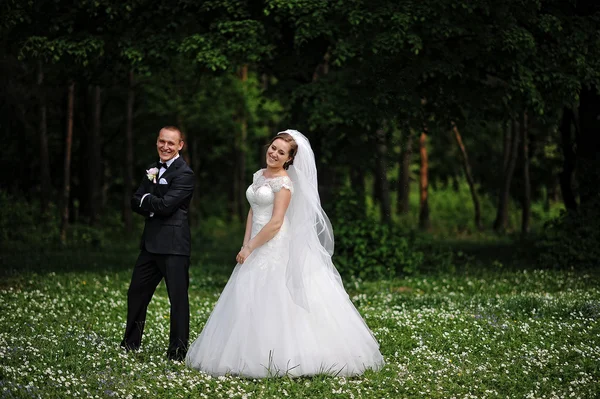 Casamento casal ficar no campo de flovers — Fotografia de Stock